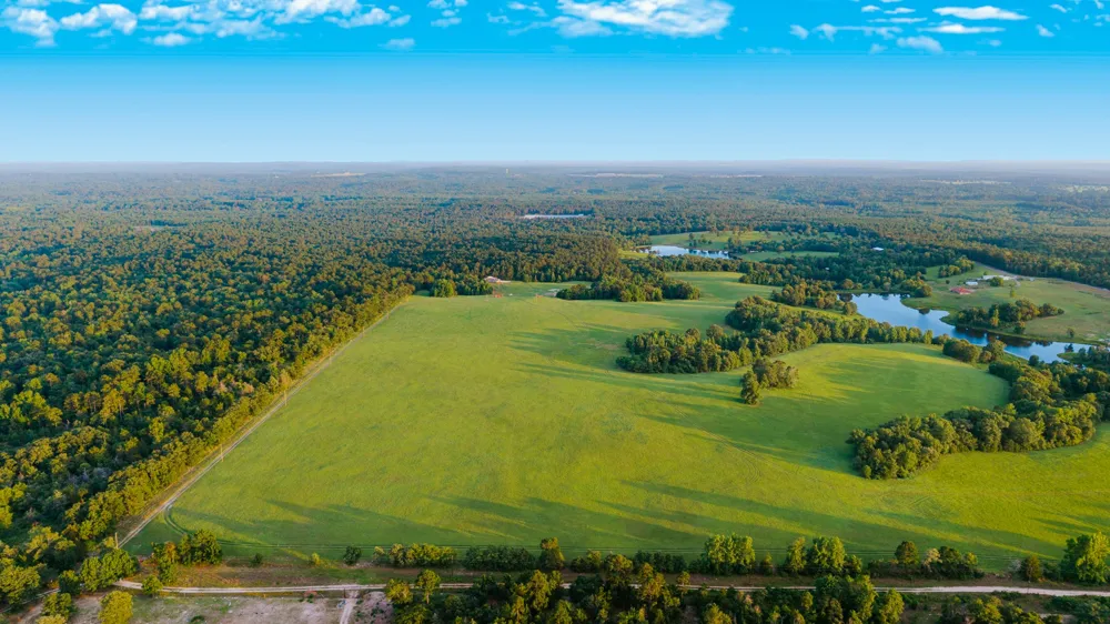 1040 County Road 3590-5 Winnsboro, TX 75494