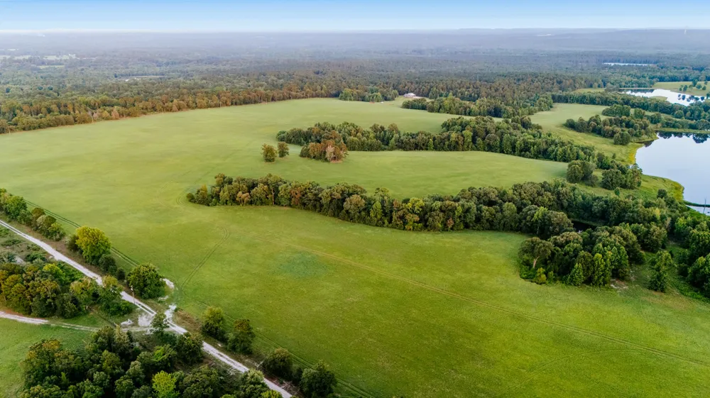 1040 County Road 3590-5 Winnsboro, TX 75494