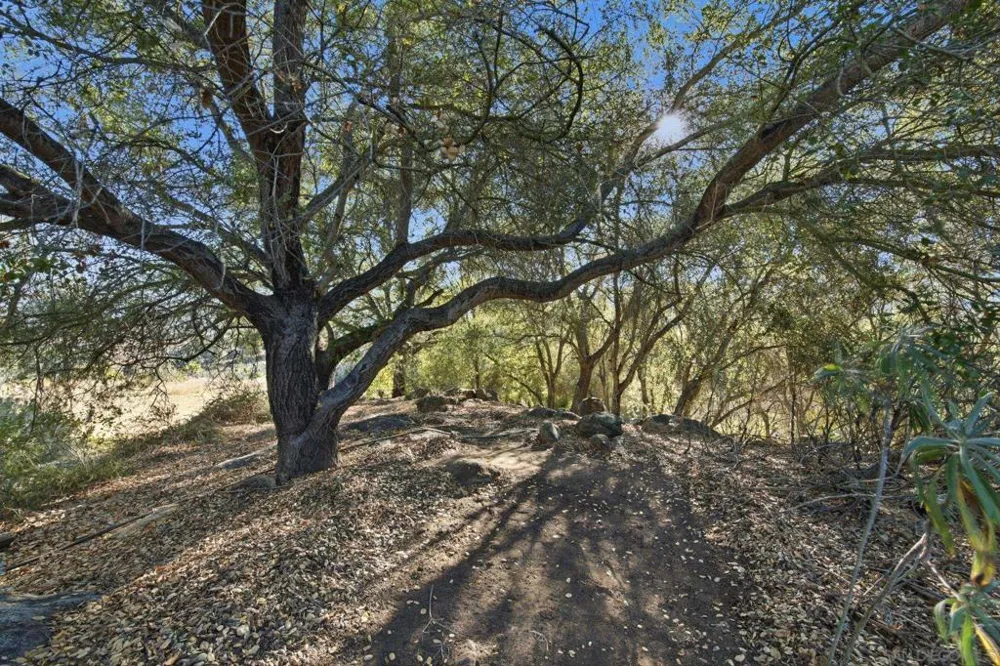 11248 Calle Oro Verde Valley Center, CA 92082