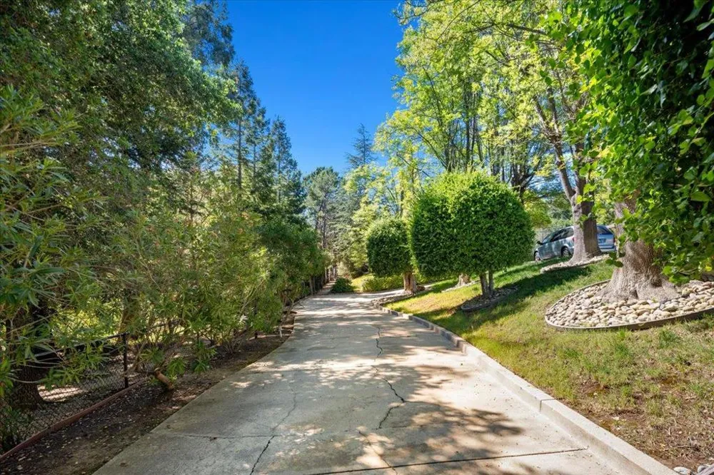 20695 Rice Court Saratoga, CA 95070
