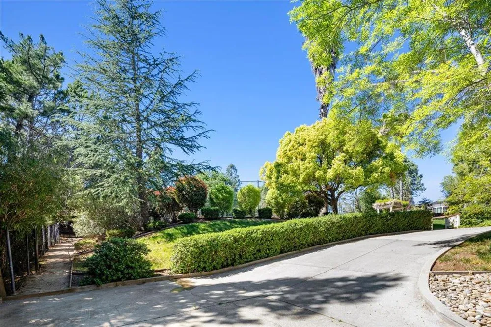 20695 Rice Court Saratoga, CA 95070