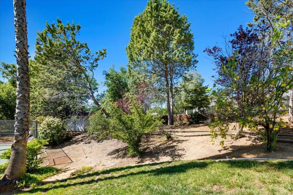 20695 Rice Court Saratoga, CA 95070