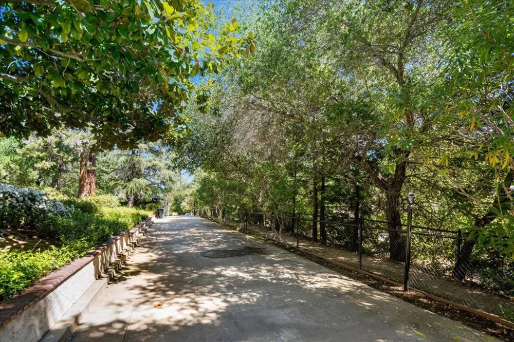 20695 Rice Court Saratoga, CA 95070
