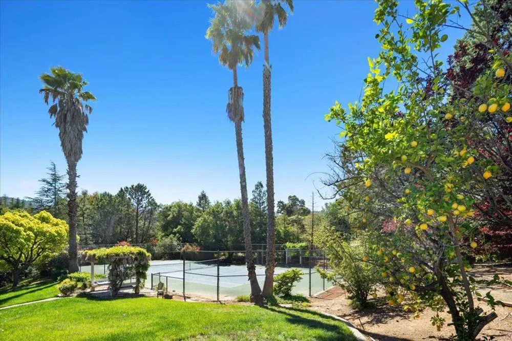 20695 Rice Court Saratoga, CA 95070
