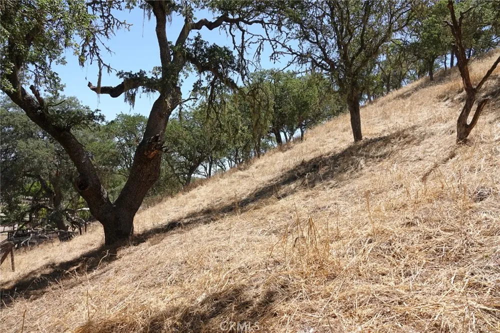 7950 Blue Moon Road Paso Robles, CA 93446
