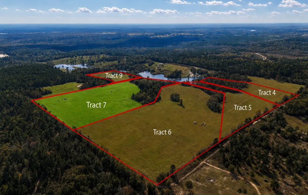 1040 County Road 3590-7 Winnsboro, TX 75494