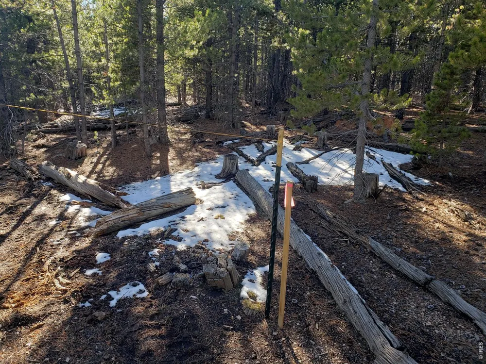 0 Forest Service 169 Lot #15 Road Red Feather Lakes, CO 80545