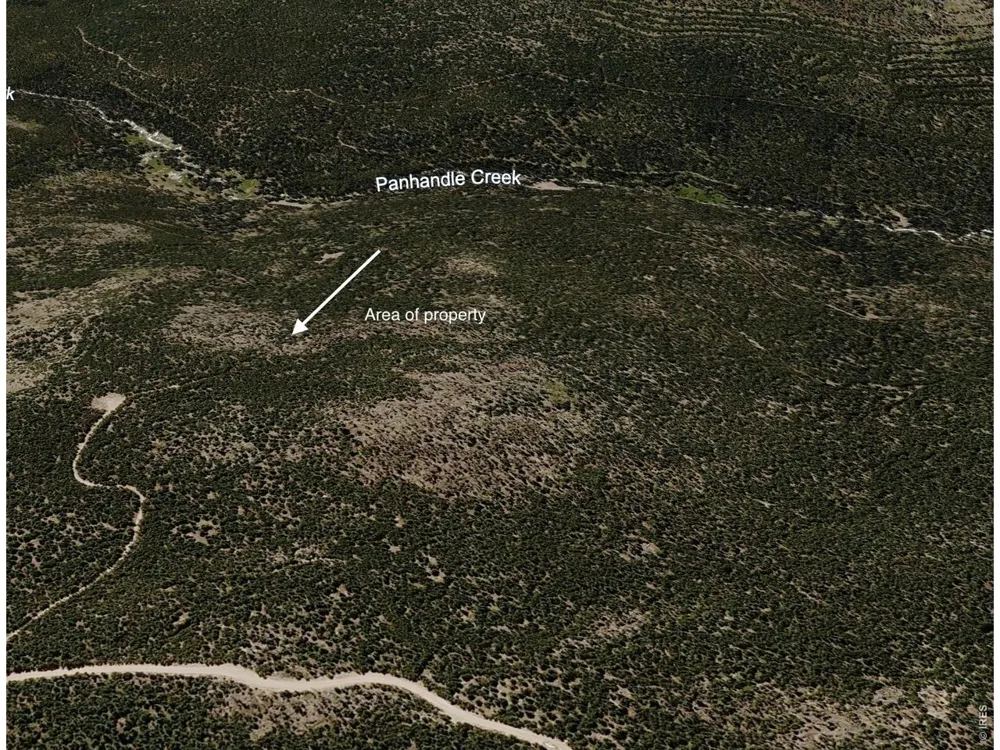 0 Forest Service 169 Lot #15 Road Red Feather Lakes, CO 80545