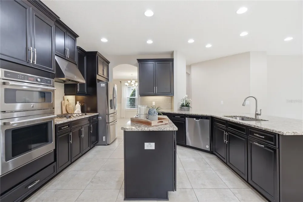 9167 BELLA VITA CIRCLE Land O Lakes, FL 34637
