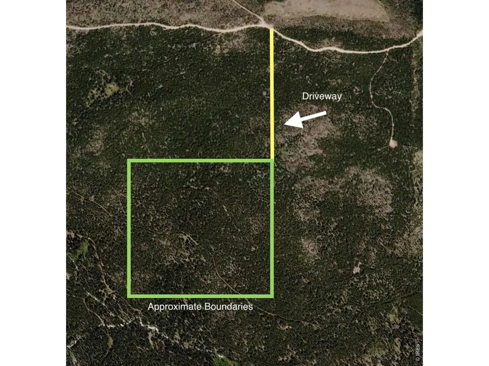 0 Forest Service 169 Lot #10 Road Red Feather Lakes, CO 80545