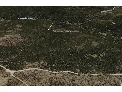0 Forest Service 169 Lot #10 Road