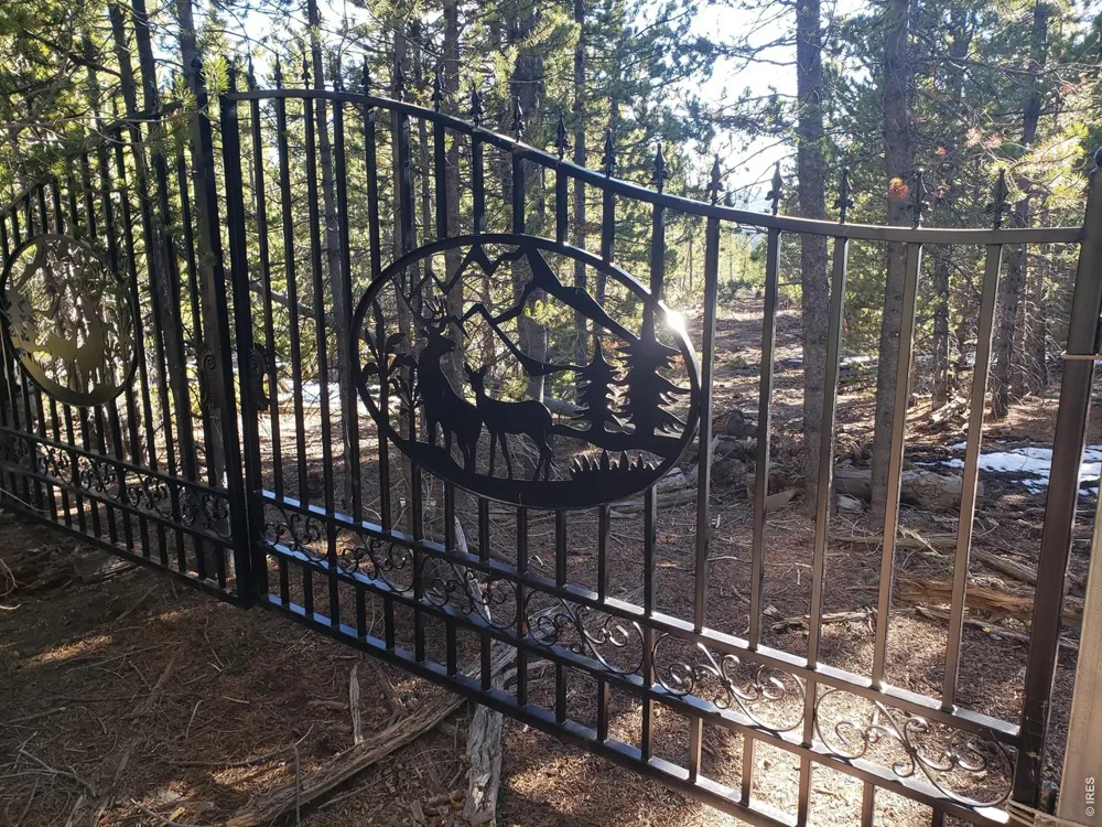 0 Forest Service 169 Lot #10 Road Red Feather Lakes, CO 80545