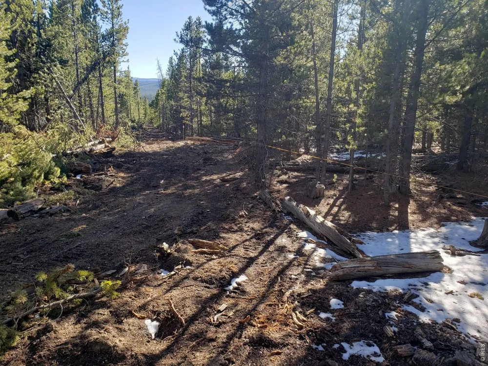 0 Forest Service 169 Lot #10 Road Red Feather Lakes, CO 80545