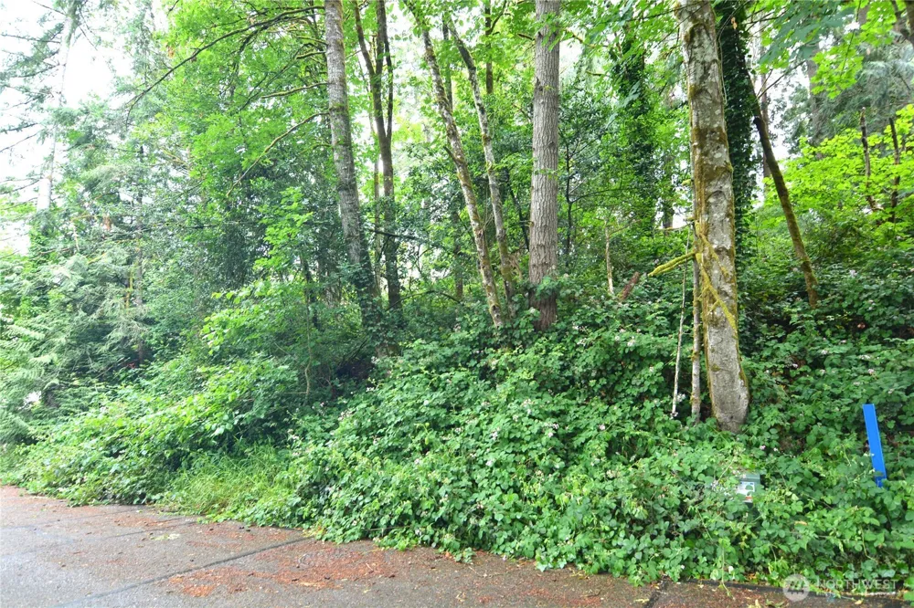2428 Archwood Drive Longview, WA 98632