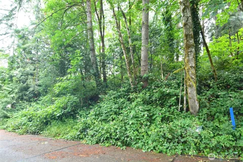 2428 Archwood Drive