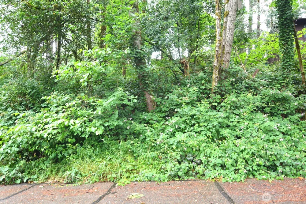 2428 Archwood Drive Longview, WA 98632