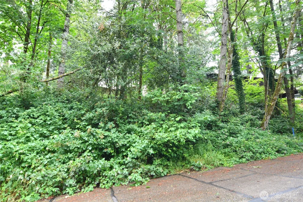 2428 Archwood Drive Longview, WA 98632