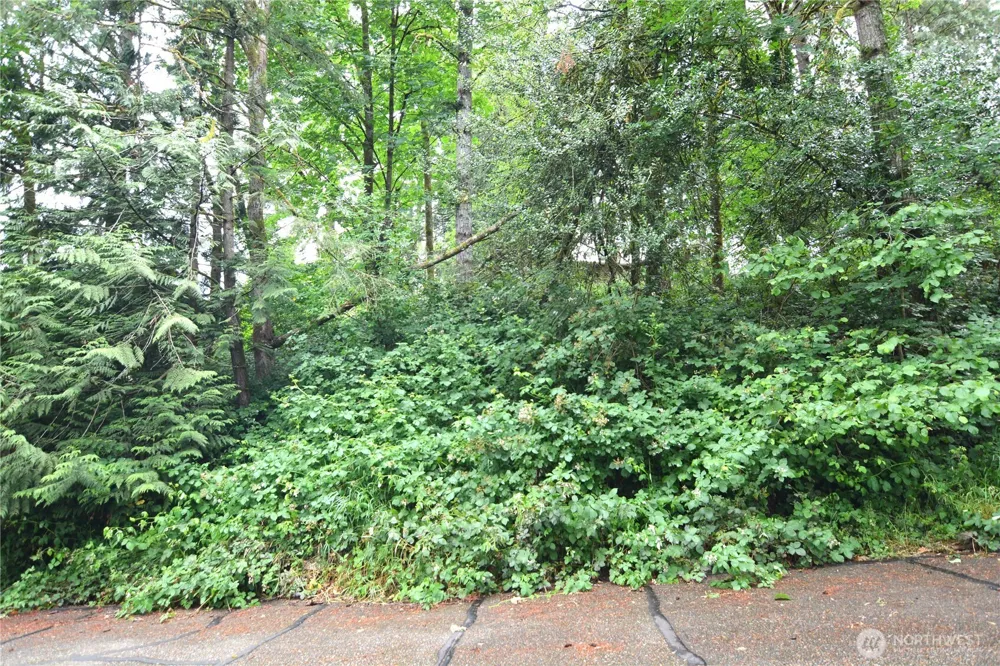 2428 Archwood Drive Longview, WA 98632