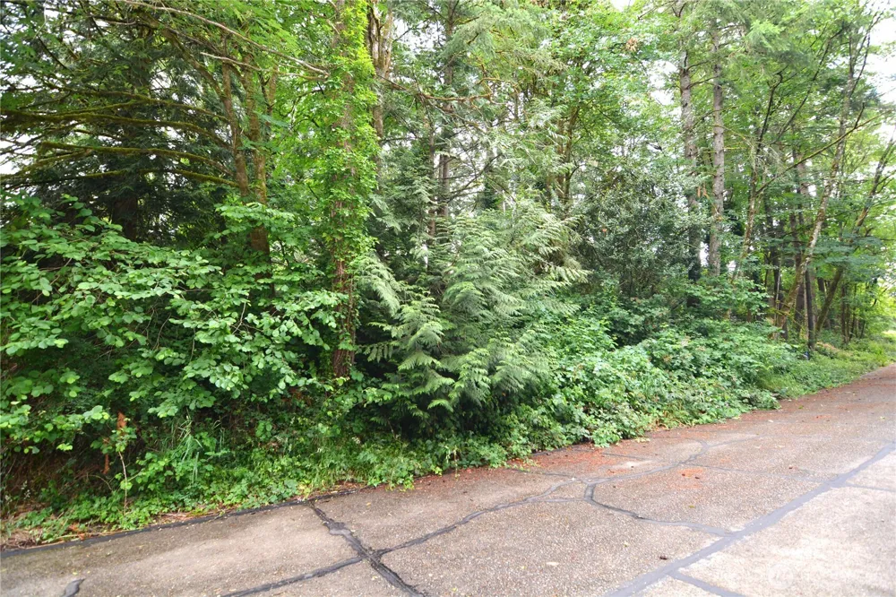 2428 Archwood Drive Longview, WA 98632