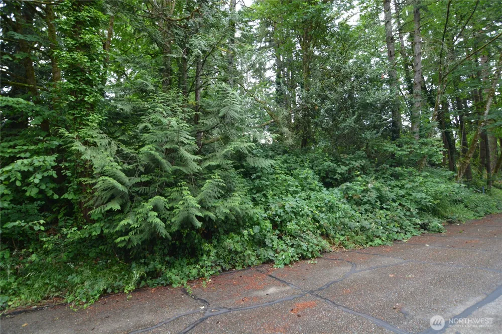 2428 Archwood Drive Longview, WA 98632