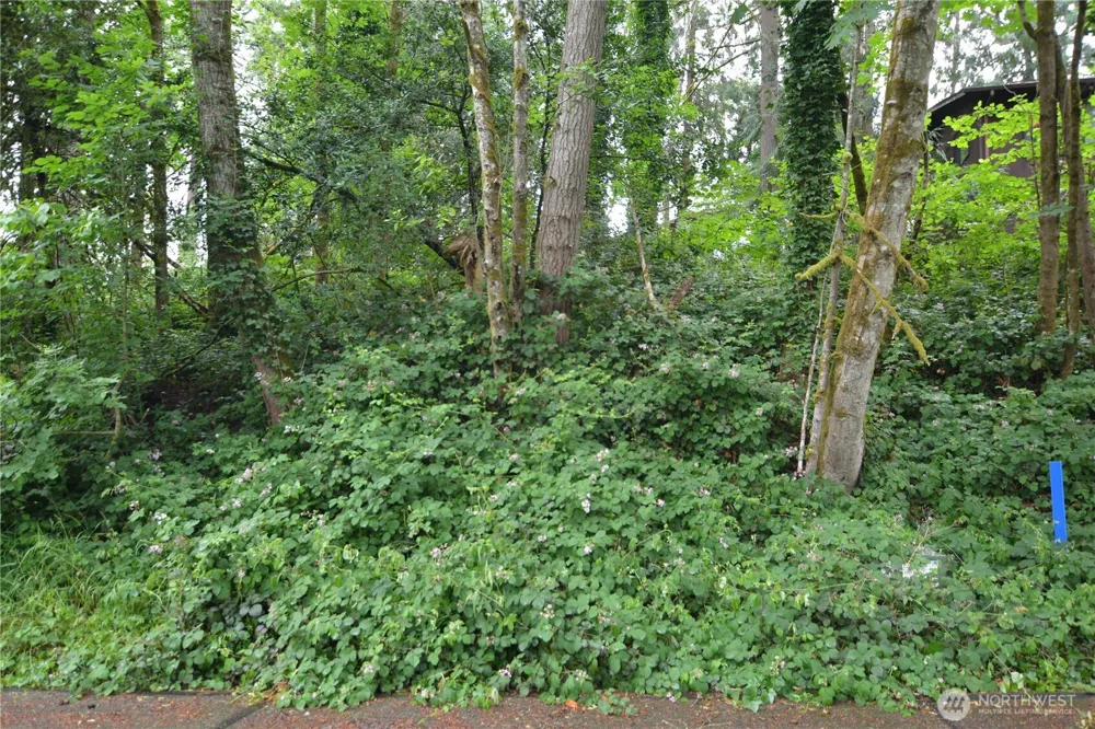 2428 Archwood Drive Longview, WA 98632