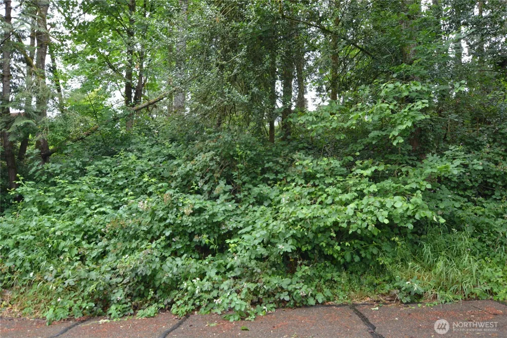 2428 Archwood Drive Longview, WA 98632