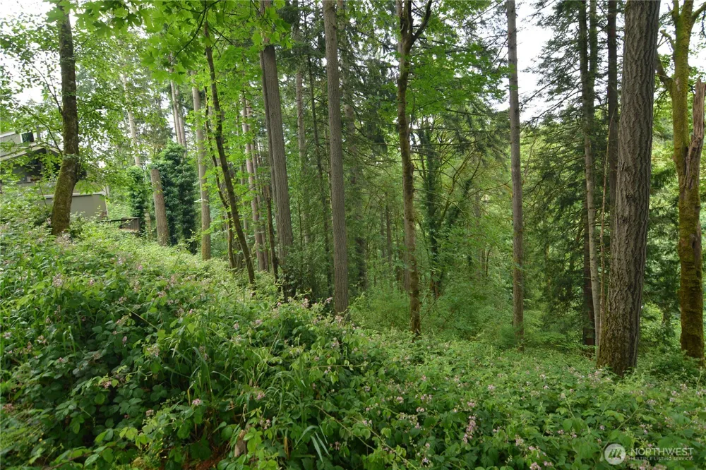 2428 Archwood Drive Longview, WA 98632