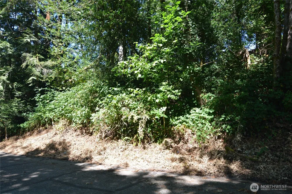 2428 Archwood Drive Longview, WA 98632