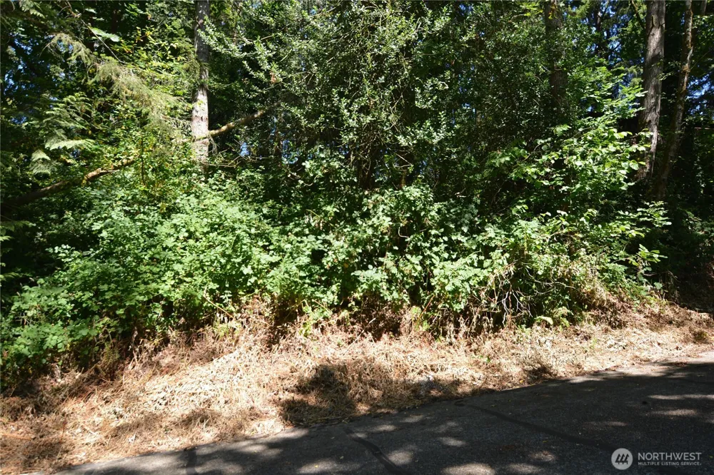 2428 Archwood Drive Longview, WA 98632
