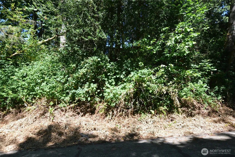 2428 Archwood Drive Longview, WA 98632