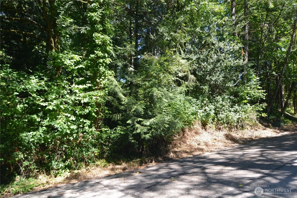 2428 Archwood Drive Longview, WA 98632