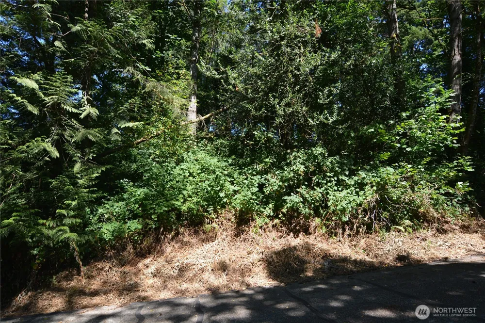 2428 Archwood Drive Longview, WA 98632