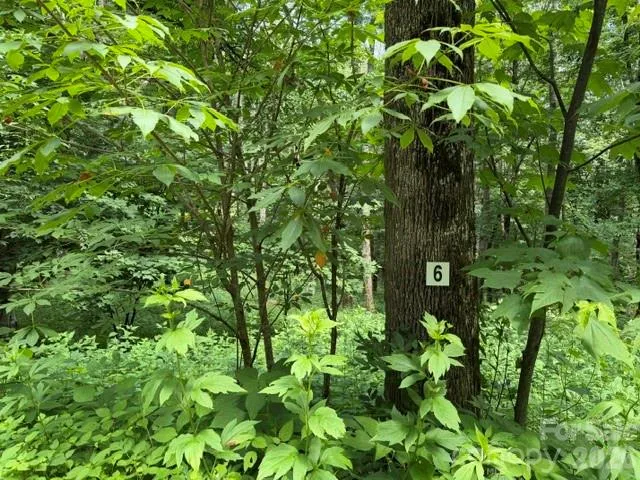Lot 6 Gadohi Trail #6 Maggie Valley, NC 28751