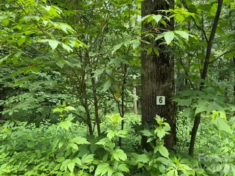 Lot 6 Gadohi Trail #6