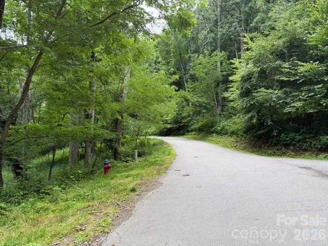 Lot 6 Gadohi Trail #6 Maggie Valley, NC 28751