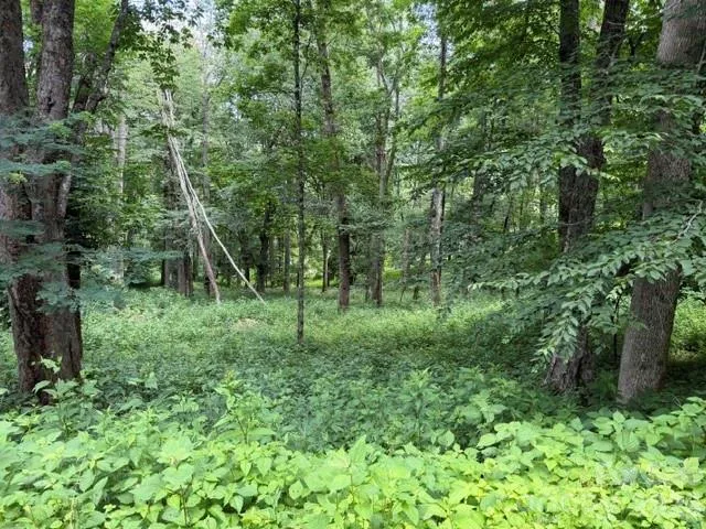 Lot 6 Gadohi Trail #6 Maggie Valley, NC 28751