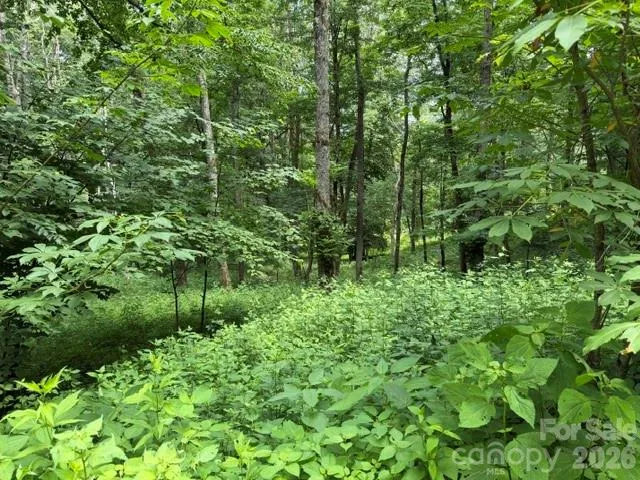 Lot 6 Gadohi Trail #6 Maggie Valley, NC 28751