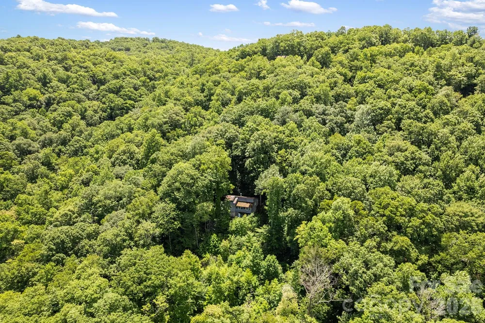 376 Stoney Brook Road Penrose, NC 28766