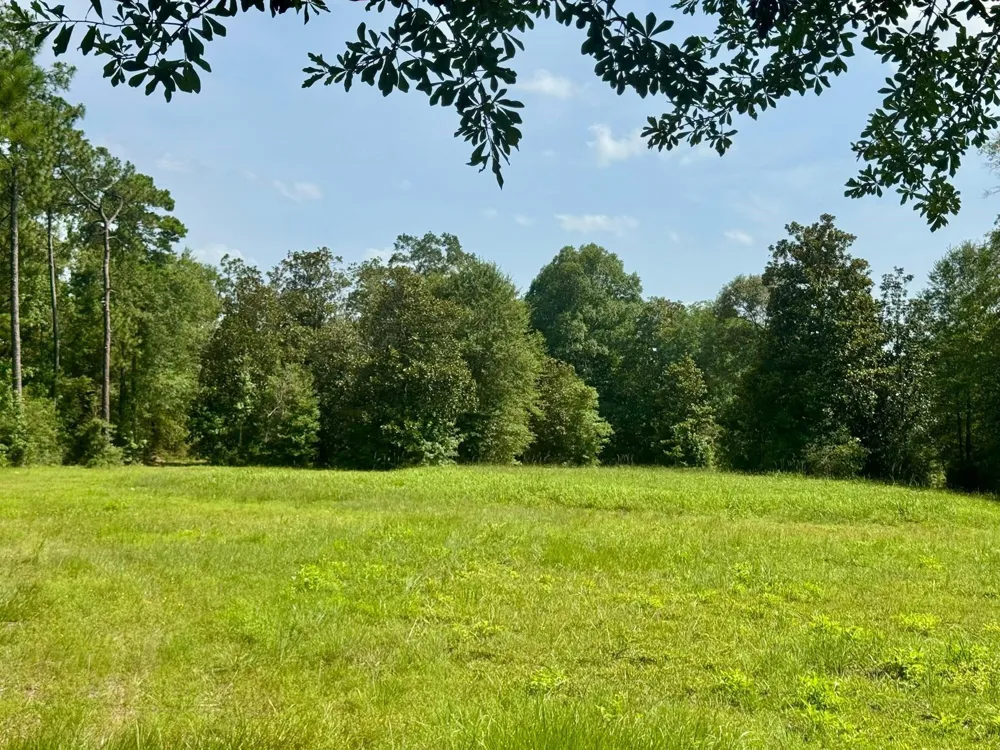 Fm 1013 Hillister, TX 77624