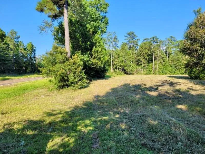 Fm 1013 Hillister, TX 77624