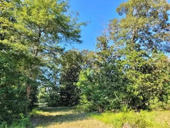 Fm 1013 Hillister, TX 77624
