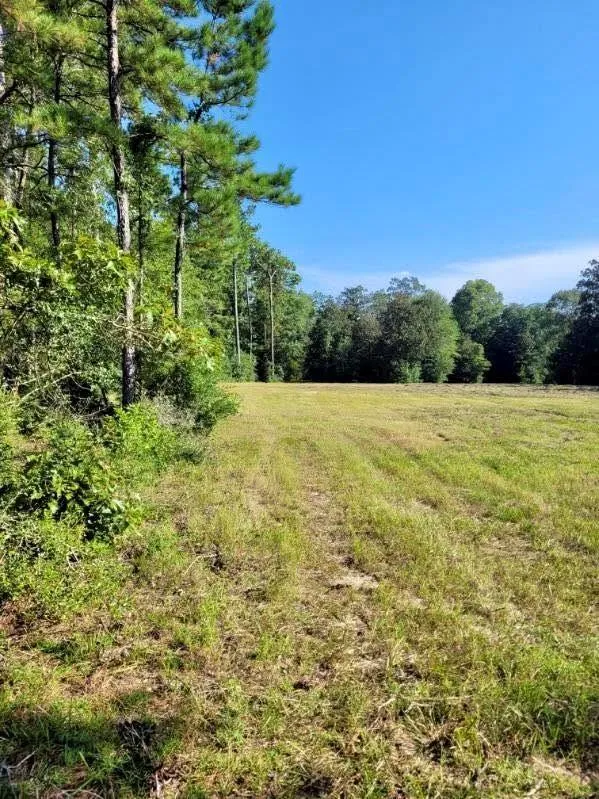 Fm 1013 Hillister, TX 77624