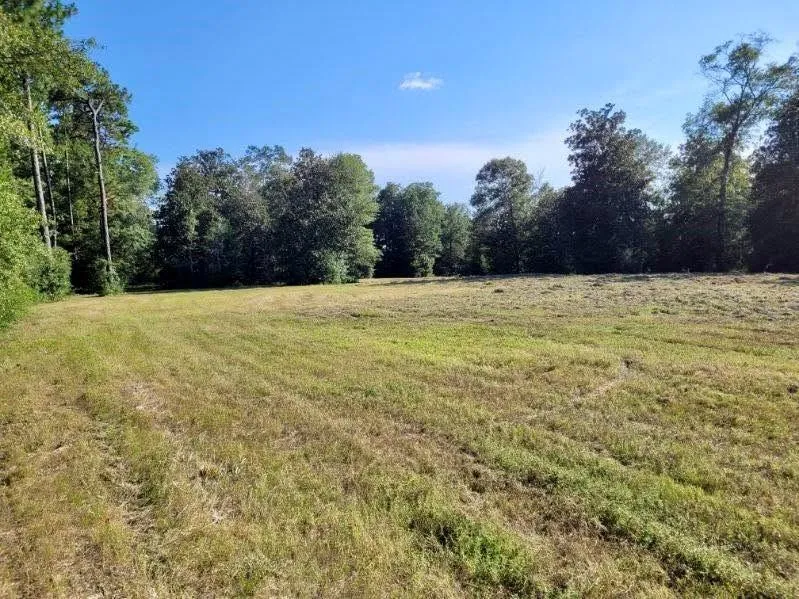 Fm 1013 Hillister, TX 77624