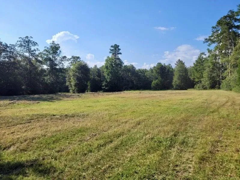 Fm 1013 Hillister, TX 77624