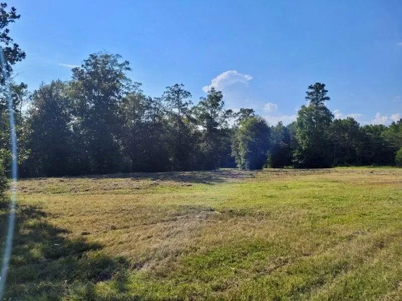Fm 1013 Hillister, TX 77624