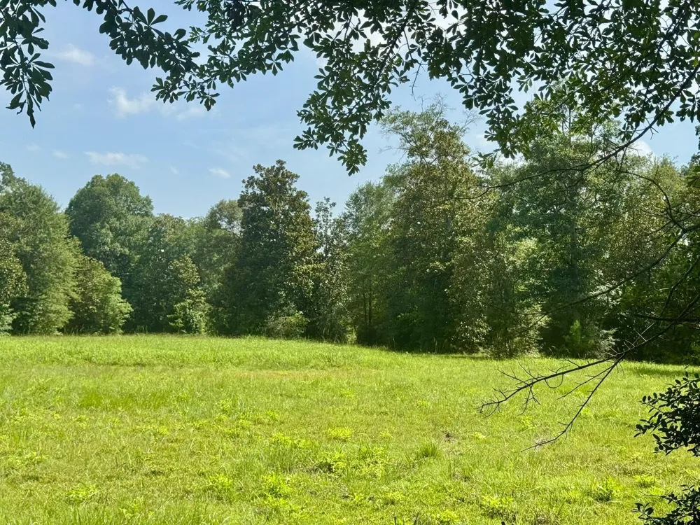 Fm 1013 Hillister, TX 77624