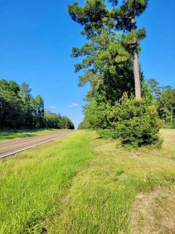 Fm 1013 Hillister, TX 77624