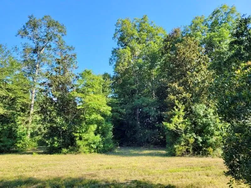 Fm 1013 Hillister, TX 77624