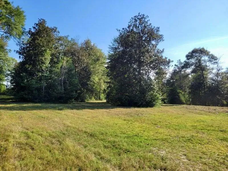 Fm 1013 Hillister, TX 77624