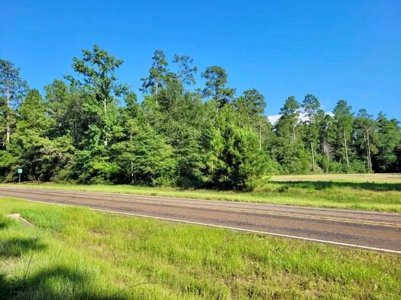 Fm 1013 Hillister, TX 77624